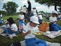Himesayuri_dscf8484_320