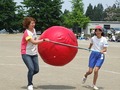 Dscf2866