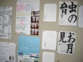 Cimg2293