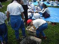 S-dscf0703