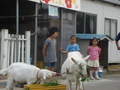 Dsc09181