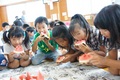 Dsc02409