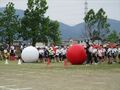 Img_9097_r