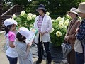Dsc04351