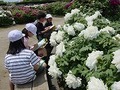 Dsc04354