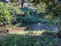 Img_0810